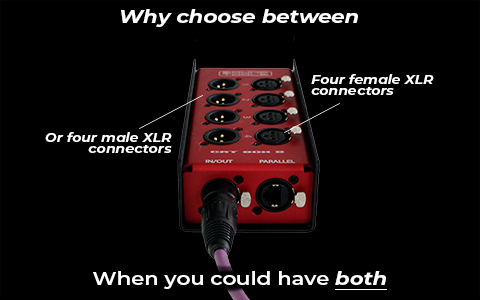 CAT Box 8 with male and female XLR connectors