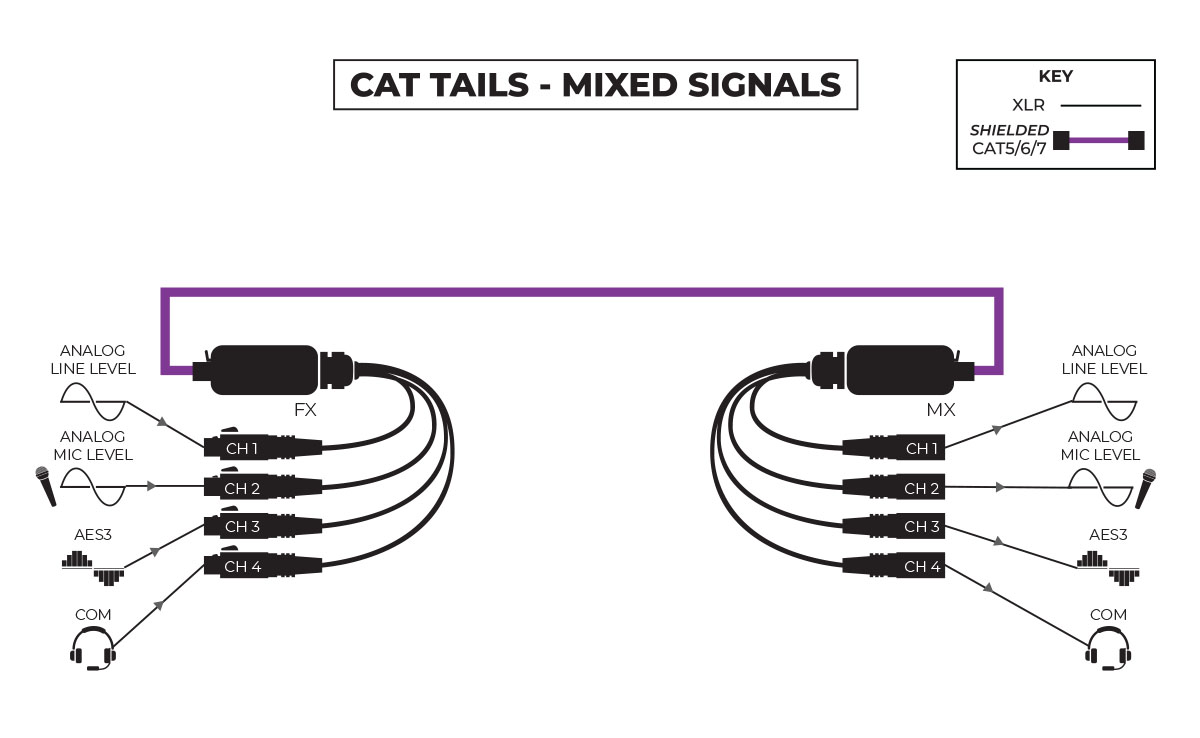 CAT Tails Mixed Signals Application